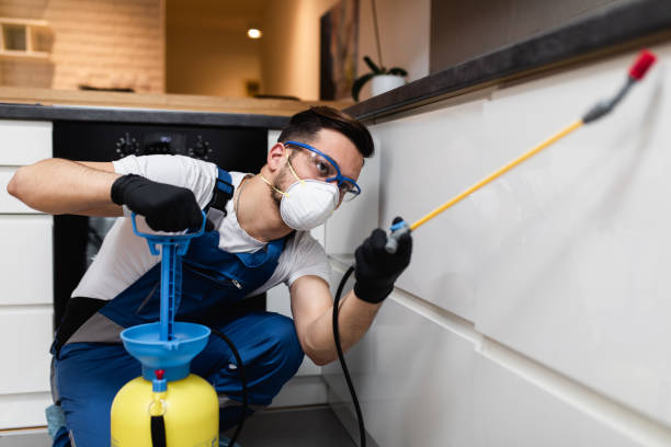 Best Rat Extermination Near Me  in Olympia Fields, IL