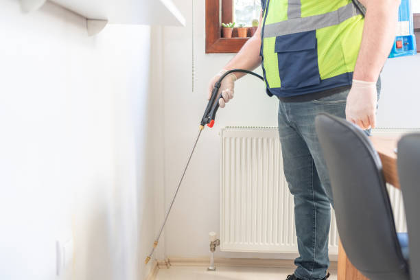 Best Wasp Removal Services  in Olympia Fields, IL