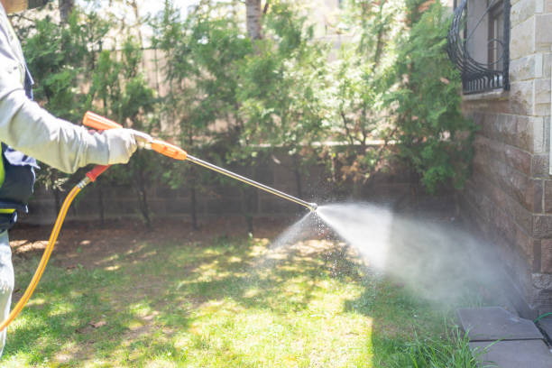 Best Affordable Pest Control Services  in Olympia Fields, IL