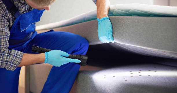 Best Best Pest Control Companies  in Olympia Fields, IL