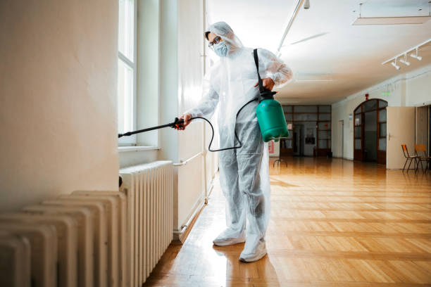Best Emergency Pest Control  in Olympia Fields, IL