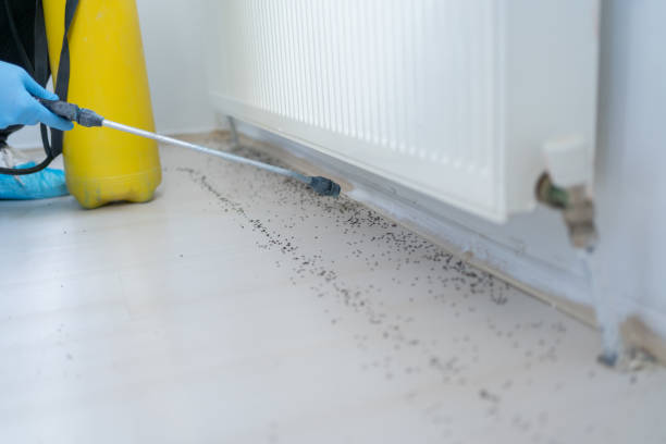 Best Commercial Pest Control Services  in Olympia Fields, IL