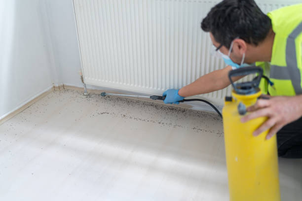 Best Pest Inspection Near Me  in Olympia Fields, IL