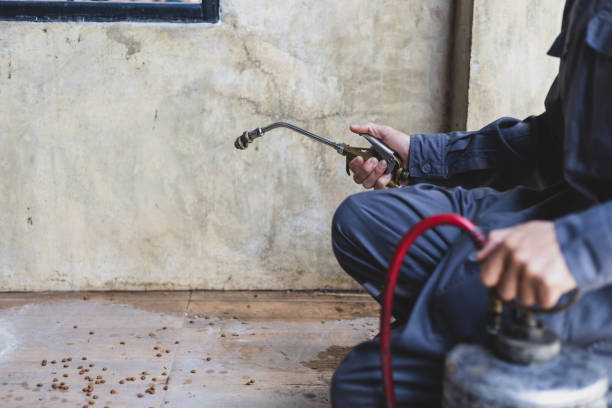 Best Exterminator Services  in Olympia Fields, IL